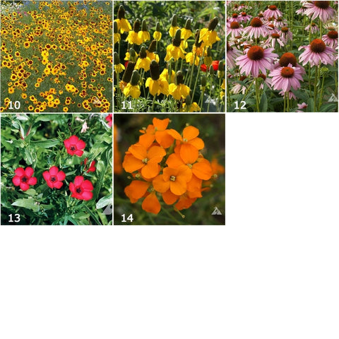 Garden Sprinkles | Wildflowers