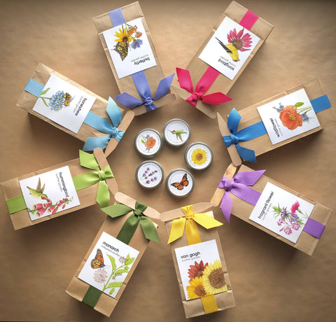 Scatter Garden | Monarch Butterfly Milkweed | Pollinators