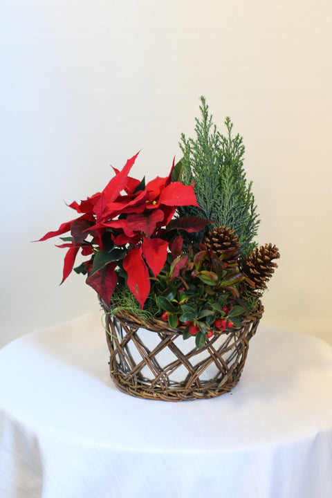Holiday Dish Garden
