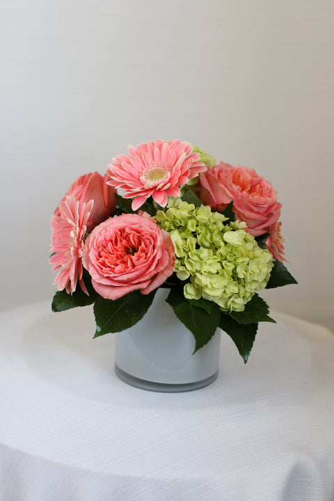 Coral Charm