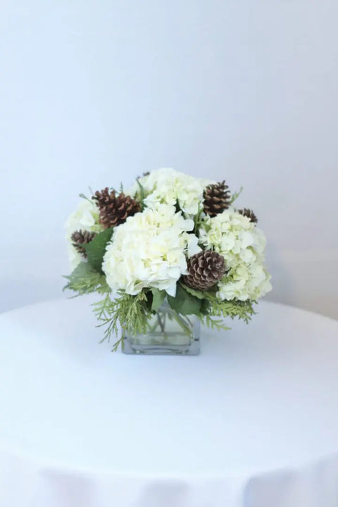 Winter Hydrangeas
