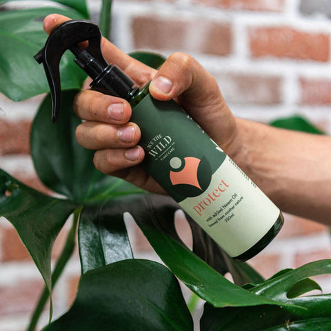 Neem Oil Plant Protect Spray