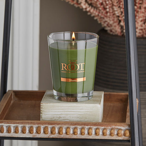 Hosta Jar Candle