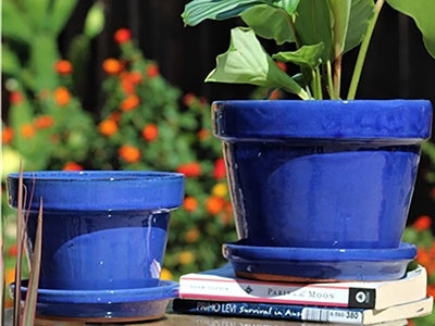 ceramic flower pots with attached saucer Standard Pot, with Attached Saucer