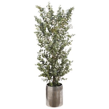 Euc Tree in Metal Planter