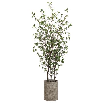 Cornus Tree Cement Pot