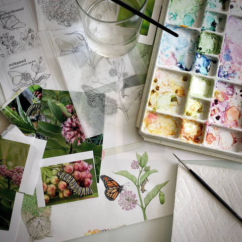 Garden Sprinkles | Monarch Milkweed | Butterfly | Spring