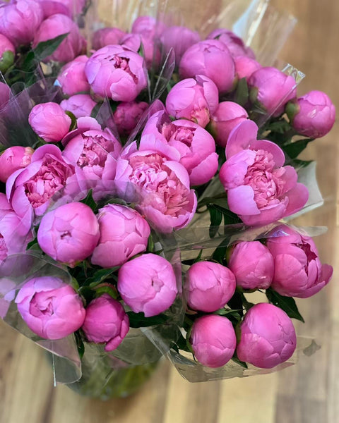 Peonies for Valentine’s Day: A Romantic Surprise Worth the Wait