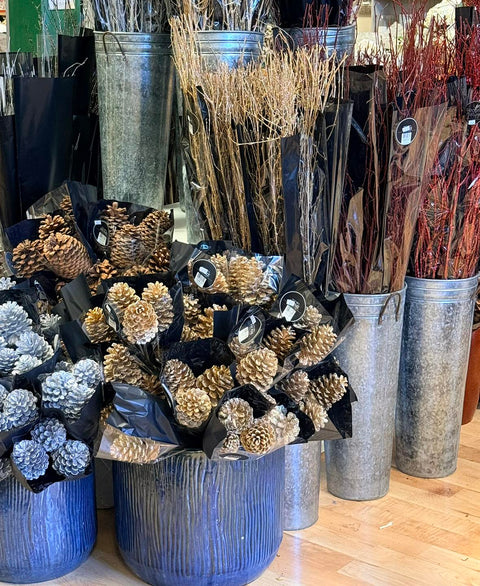 Holiday Planter Supplies Are Here at Monarch Garden & Floral Design