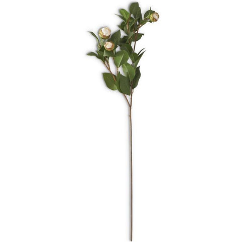 Peony Bud Stem White