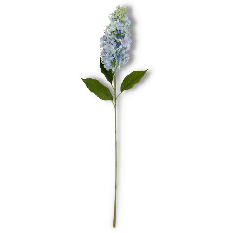 Cone Hydrangea BL 38"