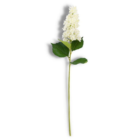 Cone Hydrangea WH 38"