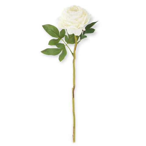 Peony Stem White