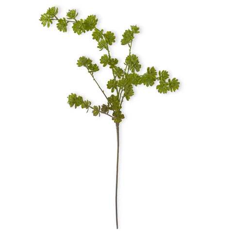 Succulent Spray green