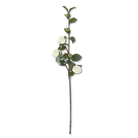 Camelia Stem White
