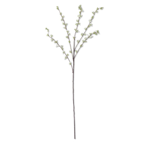 Hoary Willow Spray White