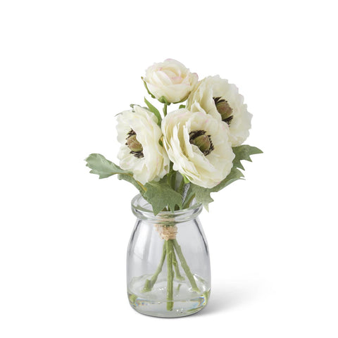 Ranunculus in glass Vase White