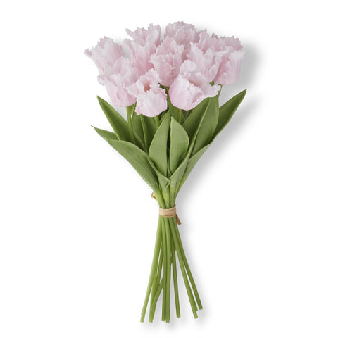 Parrot Tulip Bundle Pink