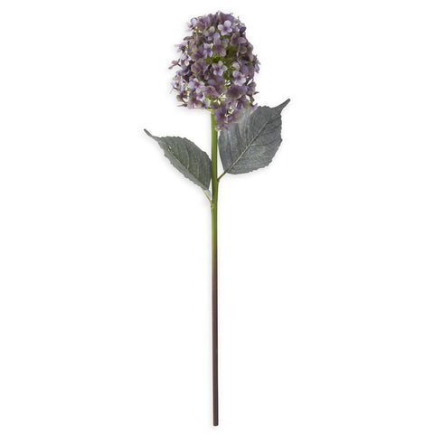 Cone Hydrangea Light Purple