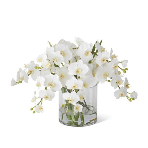 Orchid White In Glass Vase 16"