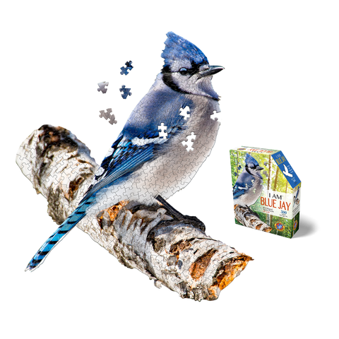 Blue Jay 300 pc Puzzle