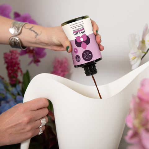 Bloom Organic Plant Food Concentrate 8 oz