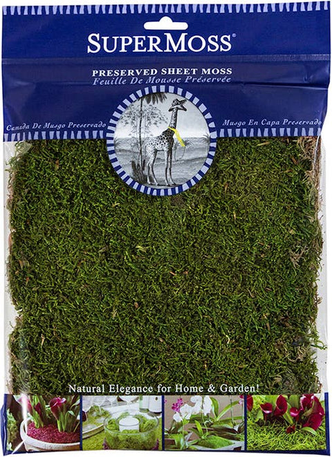 Preserved Sheet Moss 2oz