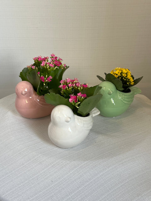 Bird Mini Pot