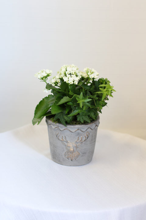 Deer Planter Small White