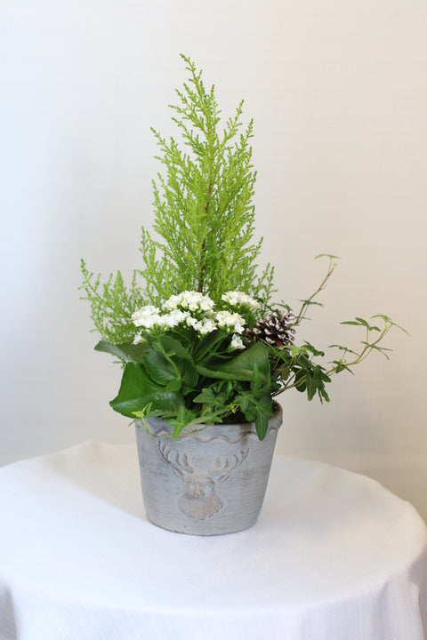 Deer Planter Medium White