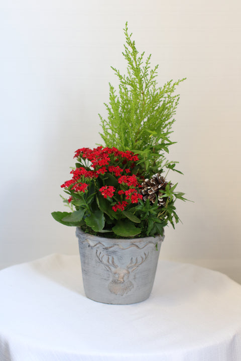 Deer Planter Medium Red