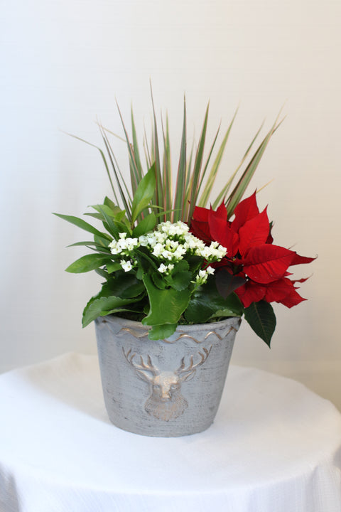 Deer Holiday Planter