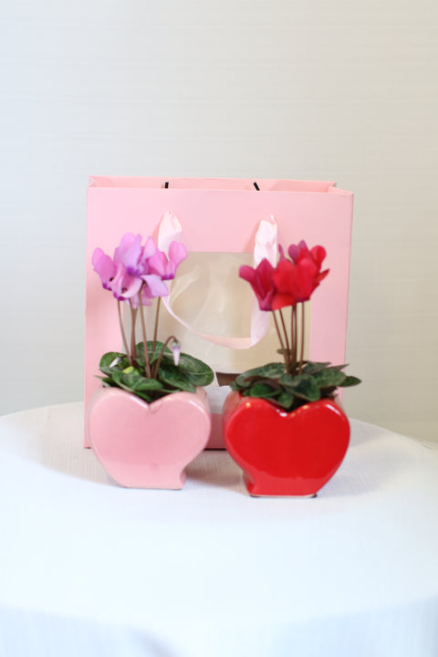 Heartbeat Gift Set