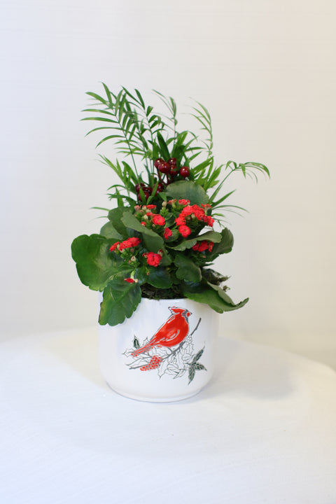 Merry Cardinal Planter Sm