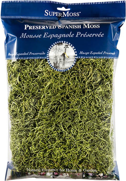 Preserved Spanish Moss: Basil