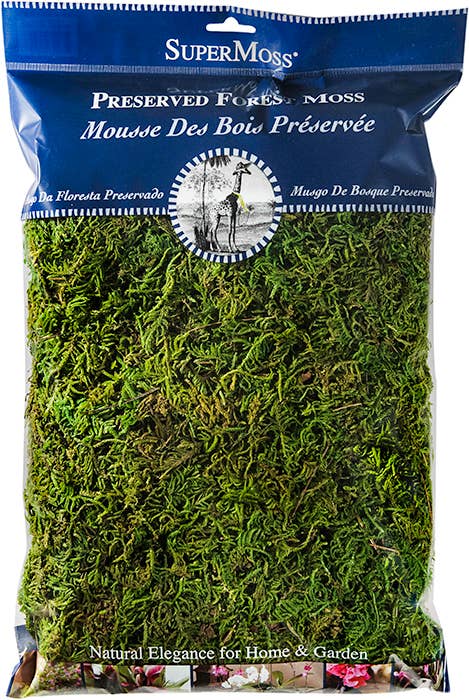 Forest Moss Preserved: 4oz