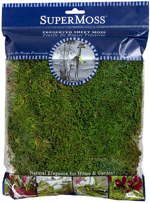 Preserved Sheet Moss: 4oz