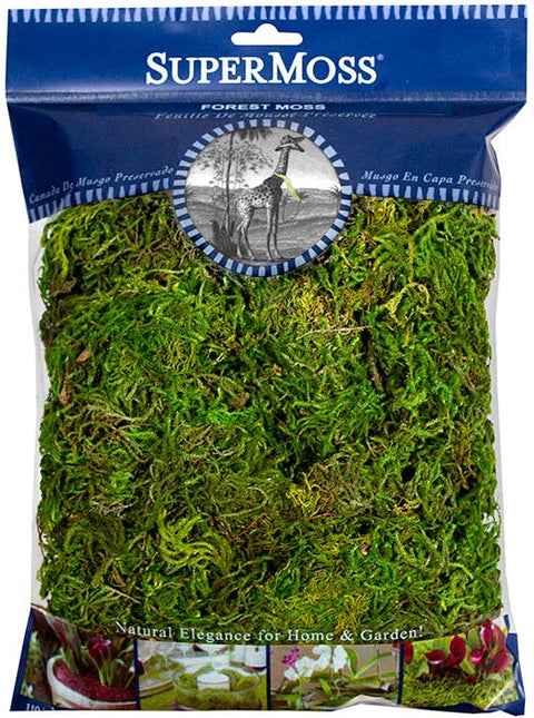 Forest Moss Preserved: 4oz