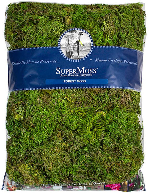 Forest Moss Preserved: 4oz