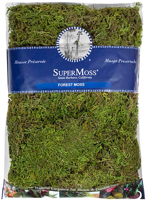 Forest Moss Preserved: 4oz