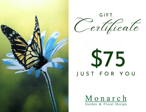 $75 Gift Certificate