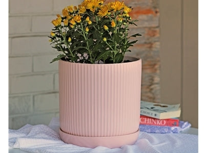 large pastel plant pots Fluted Cylinder Planter, Pastel Baby Pink