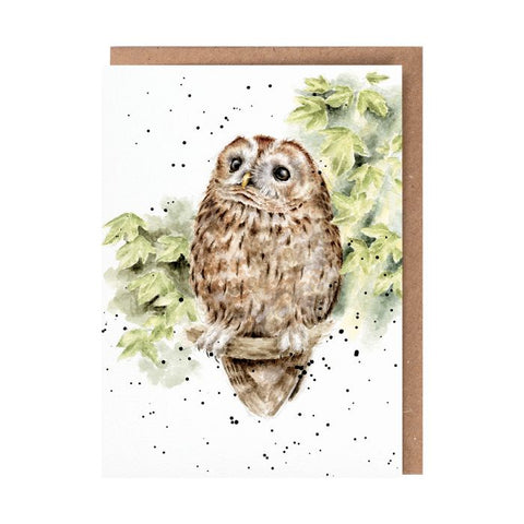 'Treetops' Owl Card
