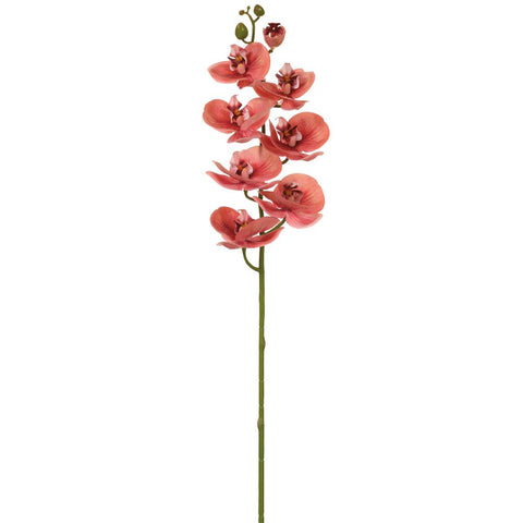 30" Real Touch Phalaenopsis Orchid Spray With 8 Flowers Cinnamon