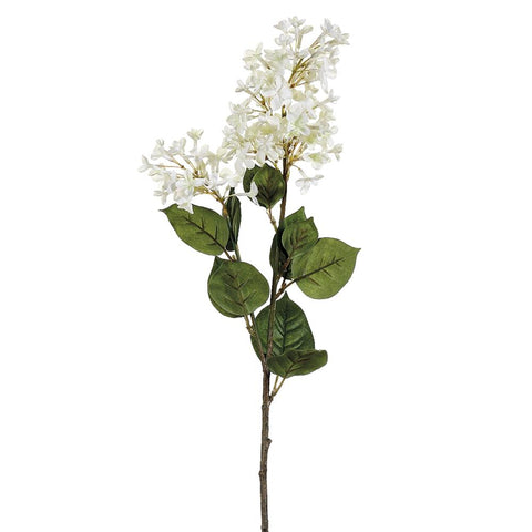 English Lilac Spray Cream-28.5"