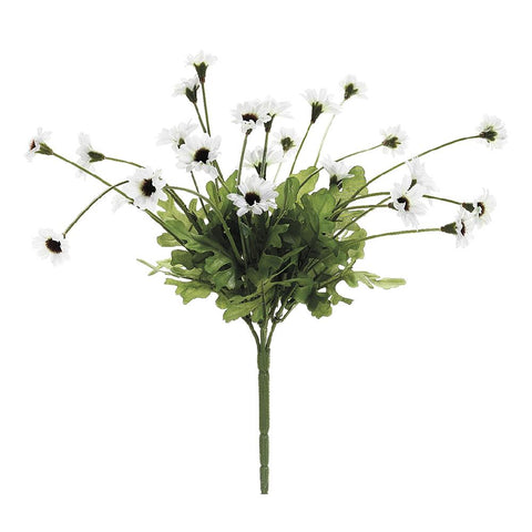Daisy Bush White
