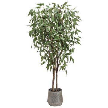 Eucalyptus Tree In Tin Planter-8'