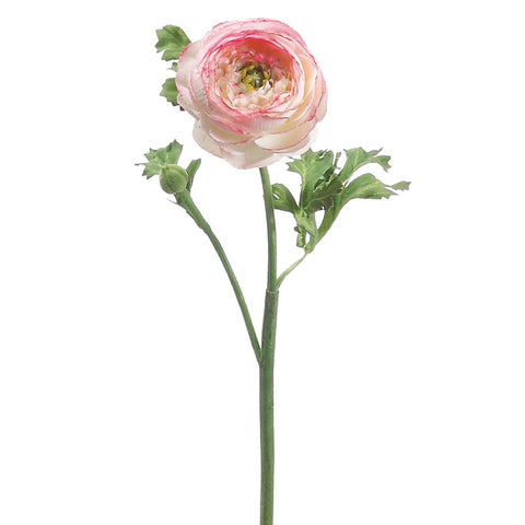 Ranunculus Spray  Pink Cream 13"