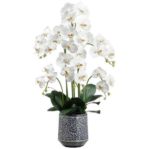 Phalaenopsis Orchid Plant in Ceramic Vase 37"
