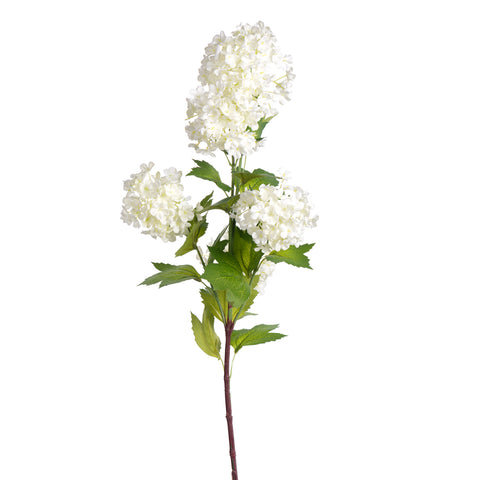 35” Viburnum Spray